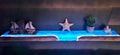 Glowing shelves
