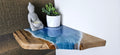 Shelves  Resin 