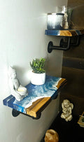 Beach  Shelf