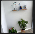 Resin Shelves